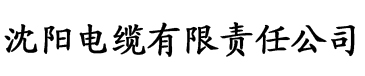 中文字幕乱码人妻无码久久电缆厂logo